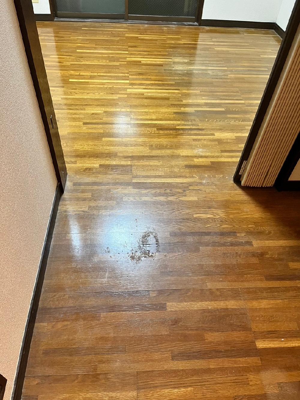 【ゴミ屋敷 片付け作業】一括見積もり比較サイトから最大4社の中からご依頼をいただきました！八王子市でゴミ屋敷片付作業です。