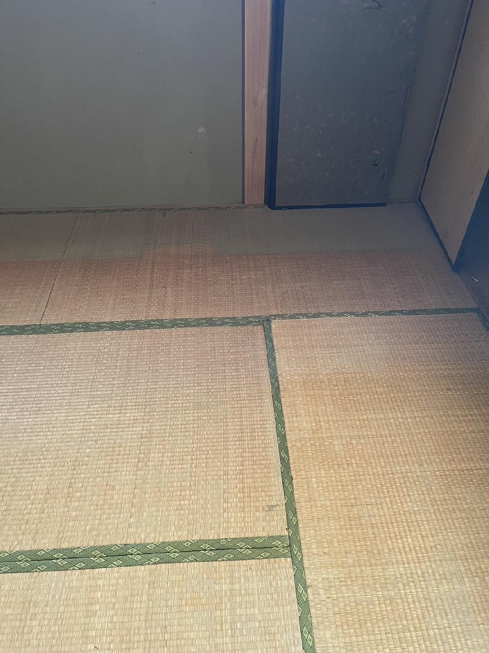 【遺品整理作業】建物の中はもちろん庭周りも綺麗さっぱり片付けます！川口市で遺品整理作業です。