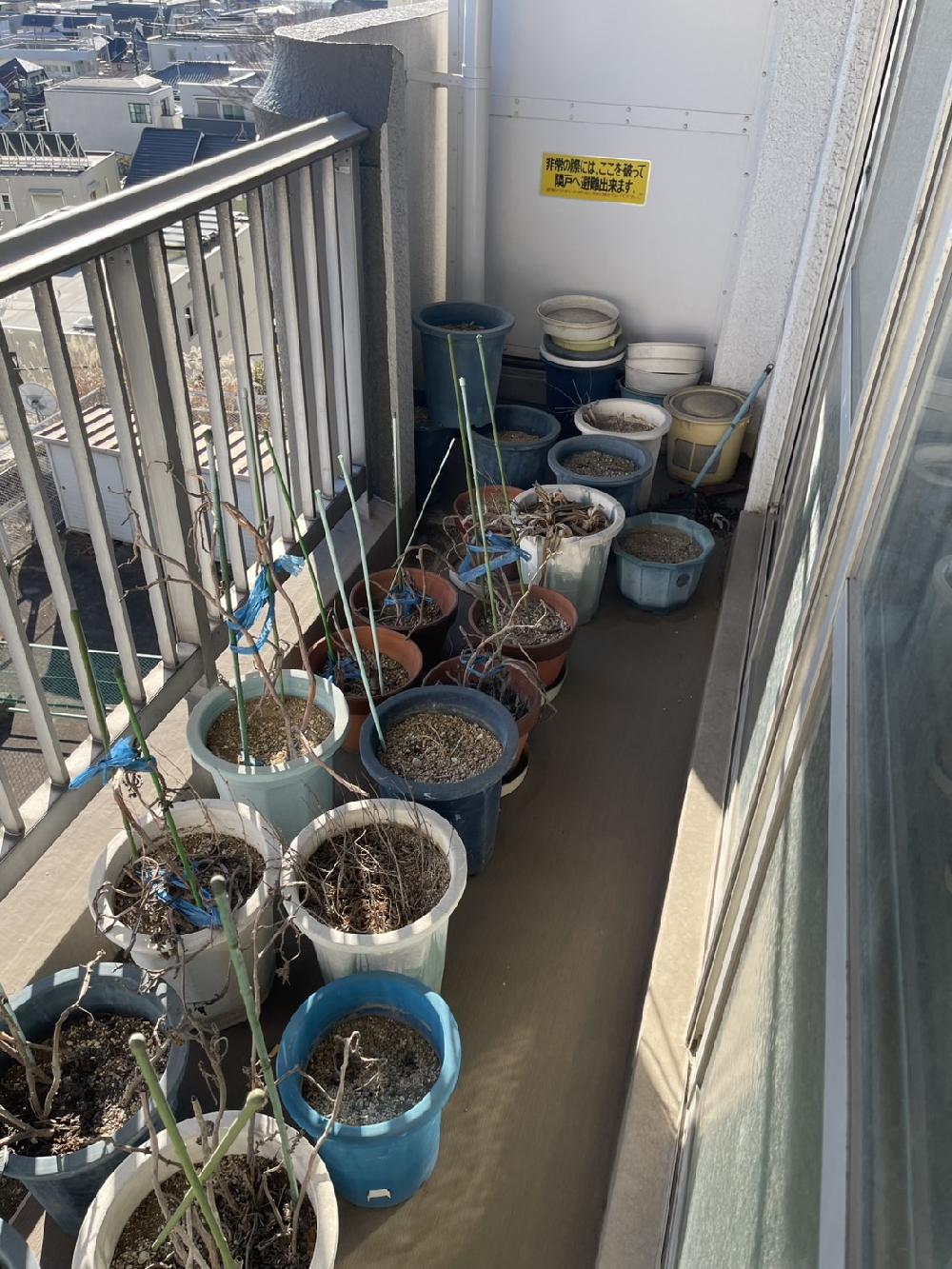 【目黒区で遺品整理　片付け作業】Googleの口コミをご覧いただきご依頼をいただきました！