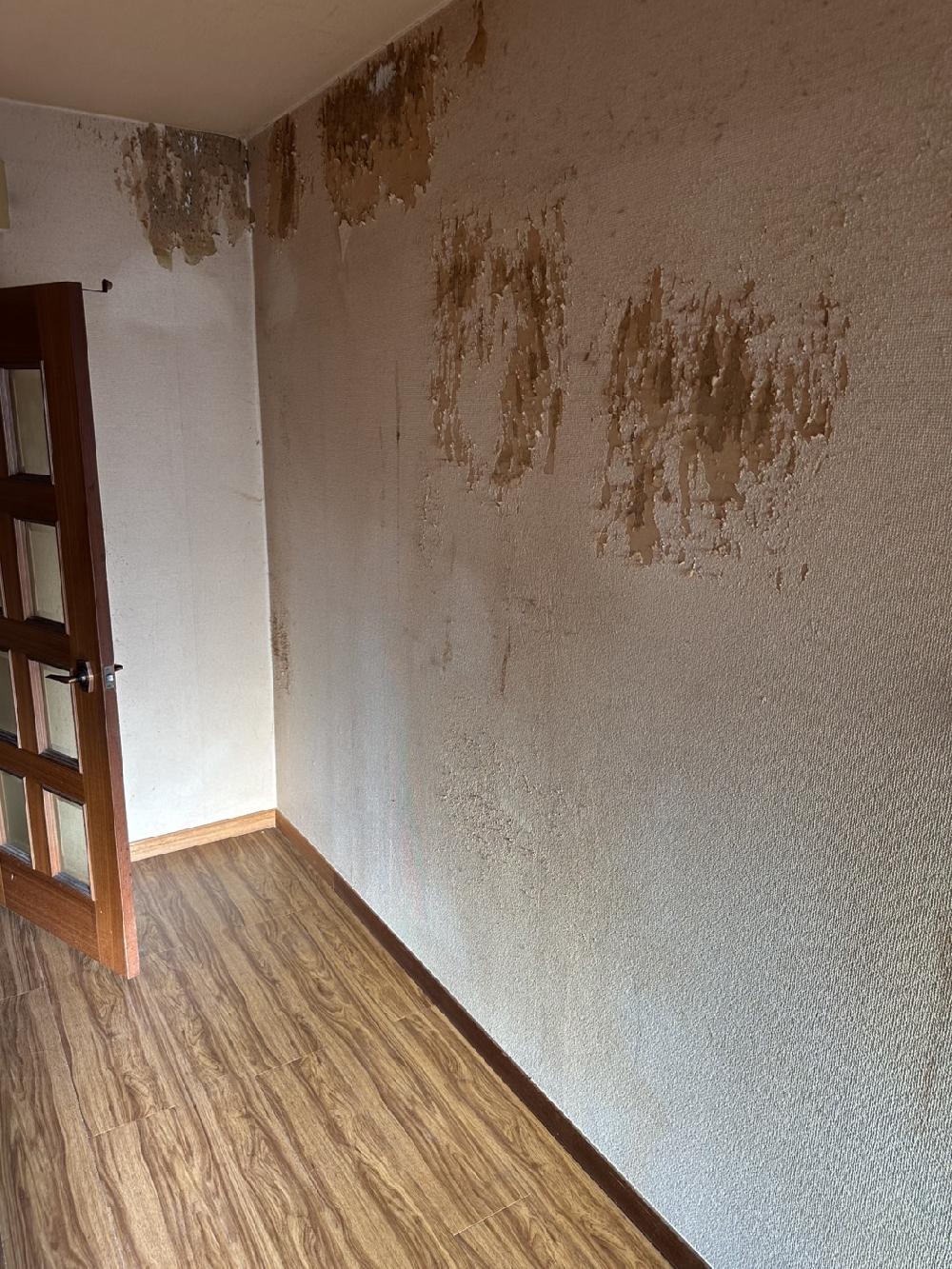 【ゴミ屋敷（猫屋敷）片付け清掃作業】口コミサイトで比較されてからのご依頼をいただきました！江戸川区でゴミ屋敷片付作業です。