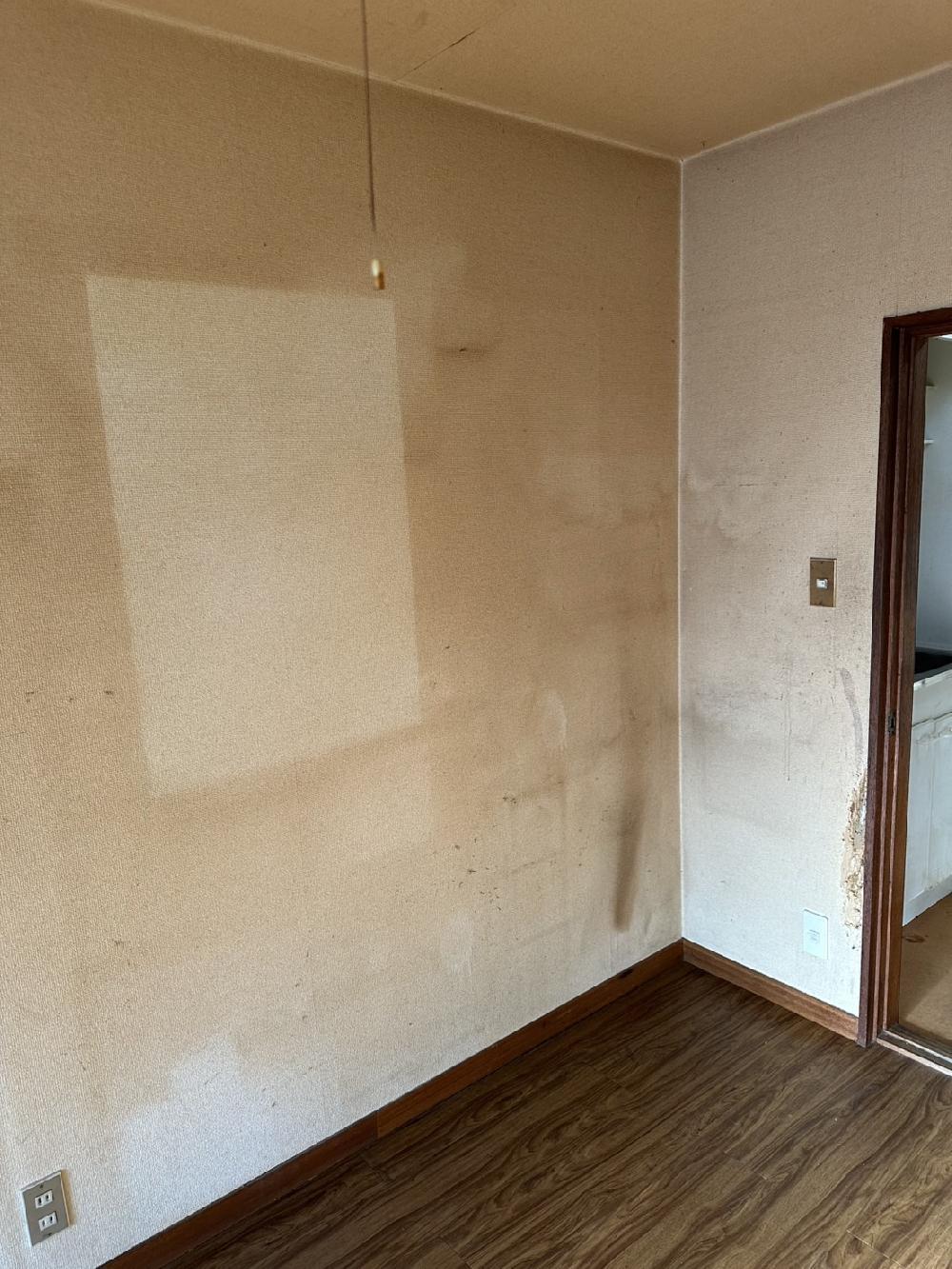 【ゴミ屋敷（猫屋敷）片付け清掃作業】口コミサイトで比較されてからのご依頼をいただきました！江戸川区でゴミ屋敷片付作業です。